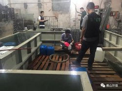 佛山三級環(huán)保加公安部門聯(lián)合執(zhí)法查處南海2家污企，七人被帶走調(diào)查